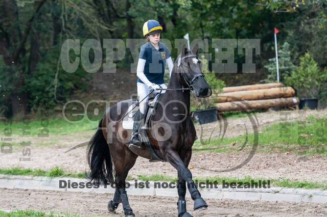 Goldene Schärpe 2020 - Pferde