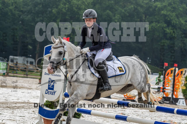 Goldene Schärpe 2021 - Ponys