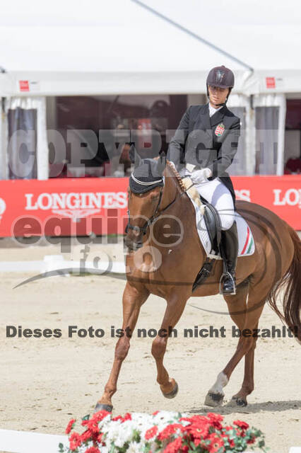 FEI European Championship Eventing 2017