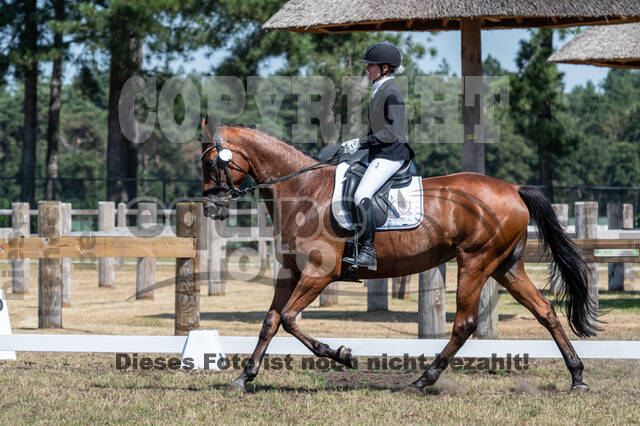 Kronenberg - De Peelbergen (August 2020)