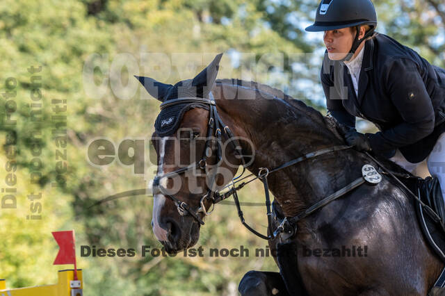 RFV Dinslaken-Hiesfeld (Herbstturnier)