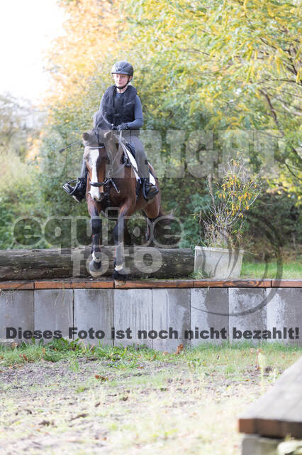 IGV Lehrgang der Sieger der Cups mit Frank Ostholt