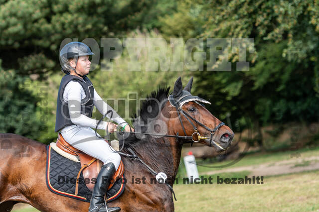 Late-Entry-Vielseitigkeit Langenfeld (11.+13./14.06.2020)