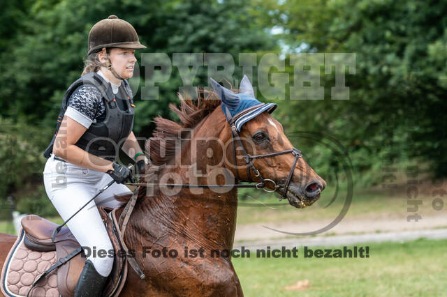 Late-Entry-Vielseitigkeit Langenfeld (11.+13./14.06.2020)
