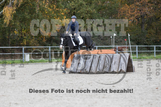 IGV Lehrgang der Sieger der Cups mit Frank Ostholt
