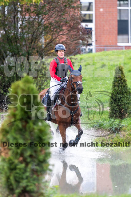 Goldene Schärpe 2020 - Pferde