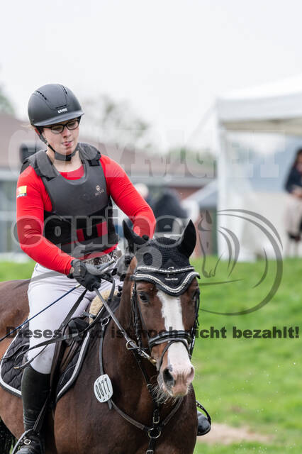 Goldene Schärpe 2020 - Pferde