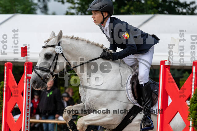 Goldene Schärpe 2021 - Ponys
