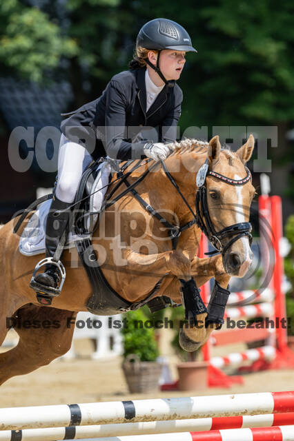 Goldene Schärpe 2021 - Ponys