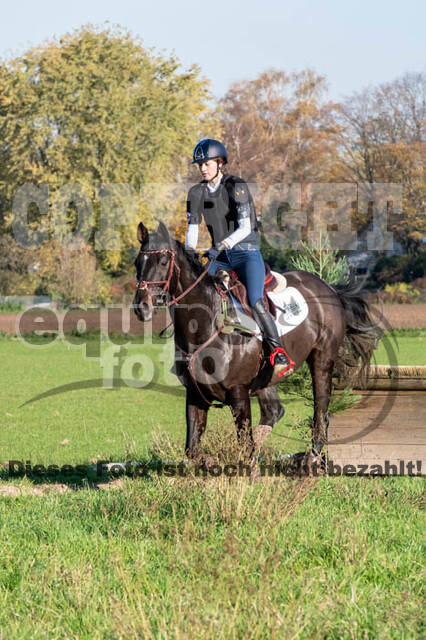 Vielseitigkeitslehrgang mit Jürg Kurbel (9.+10.11.2019)