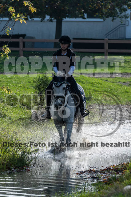 IGV Lehrgang der Sieger der Cups mit Frank Ostholt