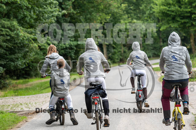 Goldene Schärpe 2021 - Ponys