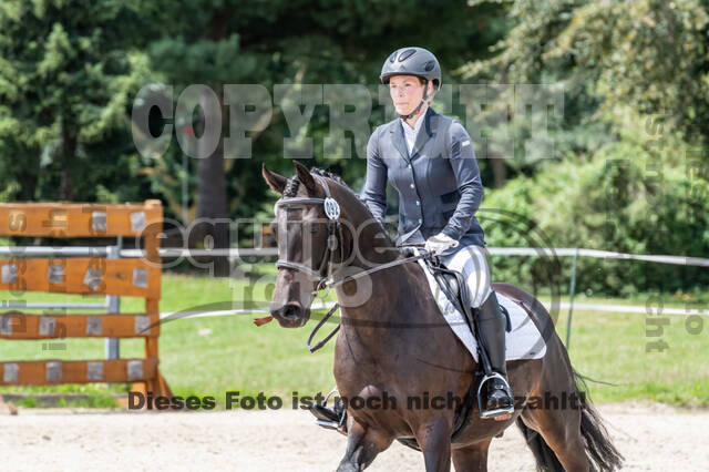 Late-Entry-Vielseitigkeit Langenfeld (06.+07.07.2020)