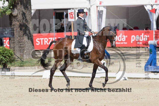 FEI European Championship Eventing 2017