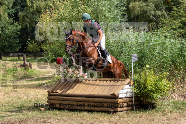 Late-Entry Vielseitigkeit Hamminkeln/Wesel (01.+02.08.2020)
