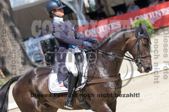 FEI European Championship