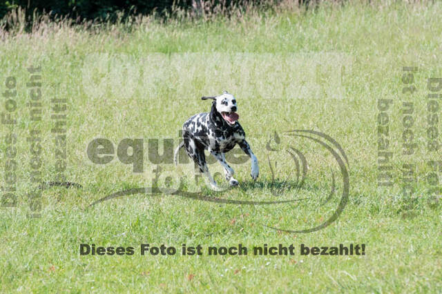 Tholi-Tour Lehrgang Vanessa Bölting
