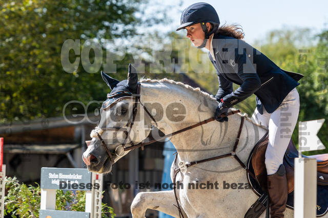 RFV Dinslaken-Hiesfeld (Herbstturnier)