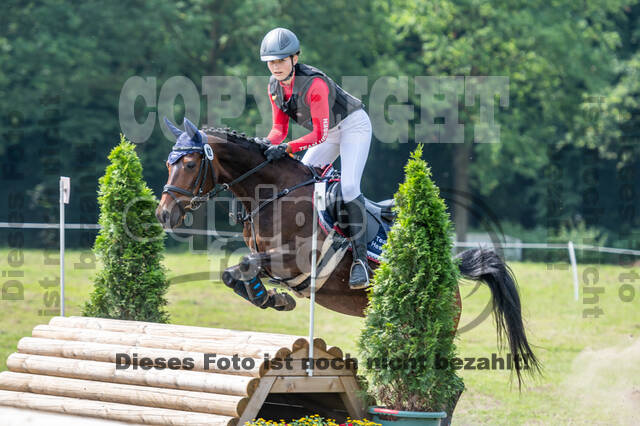 Goldene Schärpe 2021 - Ponys