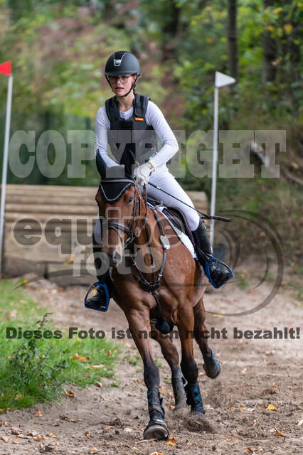 Goldene Schärpe 2020 - Pferde