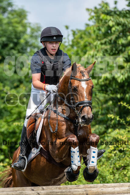 Goldene Schärpe 2021 - Ponys