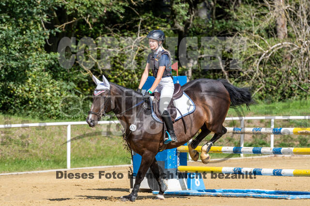 RFV Dinslaken-Hiesfeld (Herbstturnier)