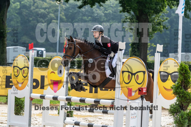 Goldene Schärpe 2021 - Ponys