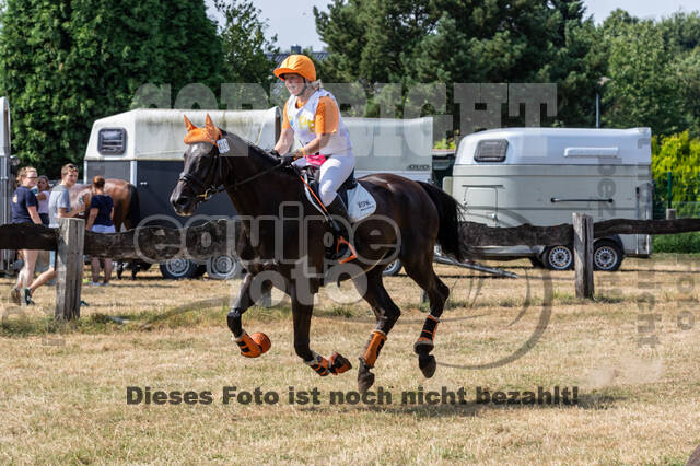 Late-Entry Vielseitigkeit Hamminkeln/Wesel (01.+02.08.2020)