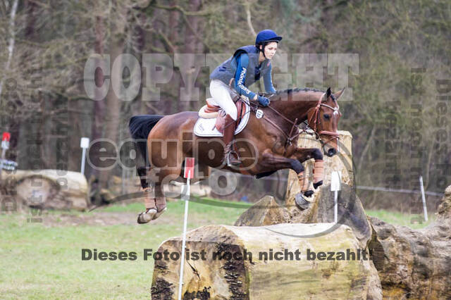 Jungpferdetag Hamminkeln