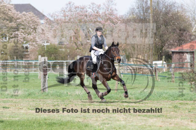 Frühjahrsvielseitigkeit RV Seydlitz Kamp