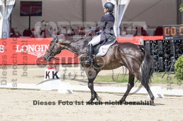 FEI European Championship
