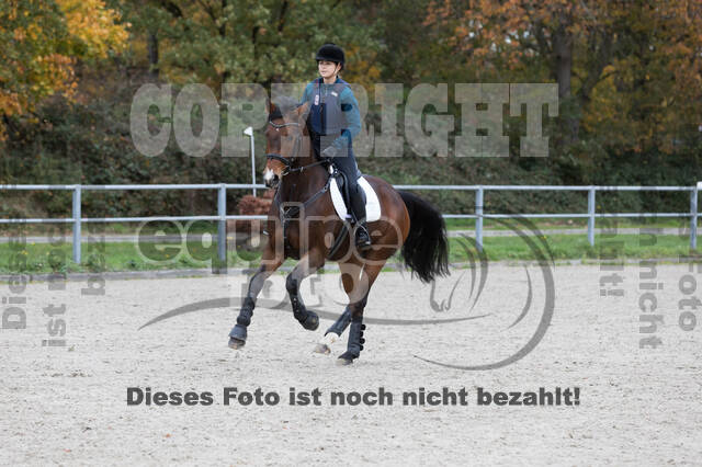 IGV Lehrgang der Sieger der Cups mit Frank Ostholt
