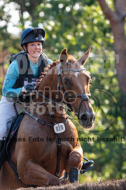 De Peelbergen (August 2020)