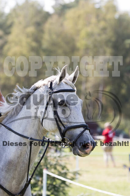 FEI European Championship Eventing 2019