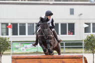 Eventing Langenfeld 2018