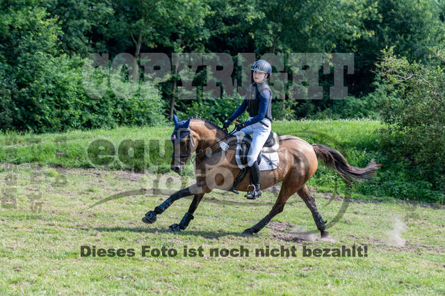 Goldene Schärpe 2021 - Ponys