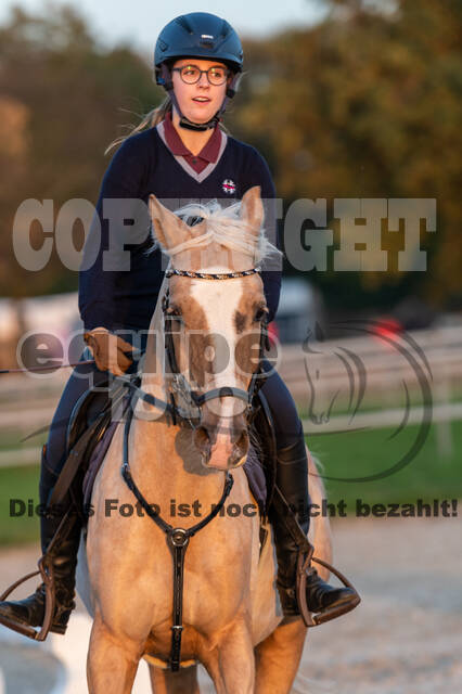 IGV Lehrgang der Sieger der Cups mit Frank Ostholt