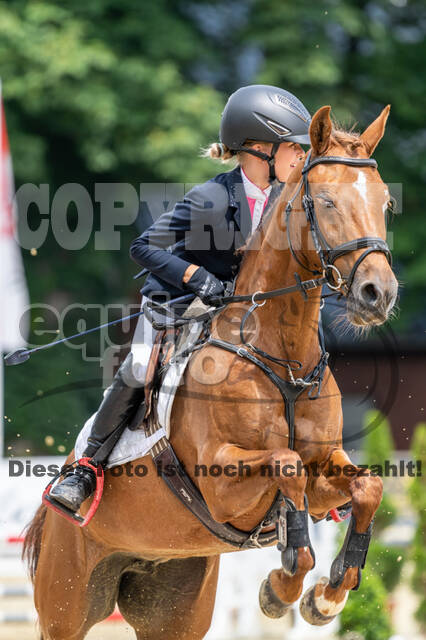 Goldene Schärpe 2021 - Ponys