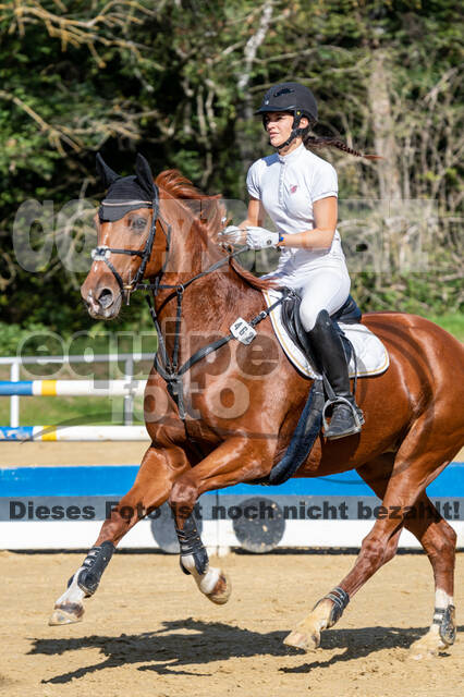 RFV Dinslaken-Hiesfeld (Herbstturnier)