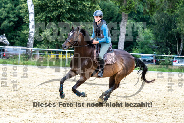Hunter Geländetraining 10.07.2021 (Sonsbeck)