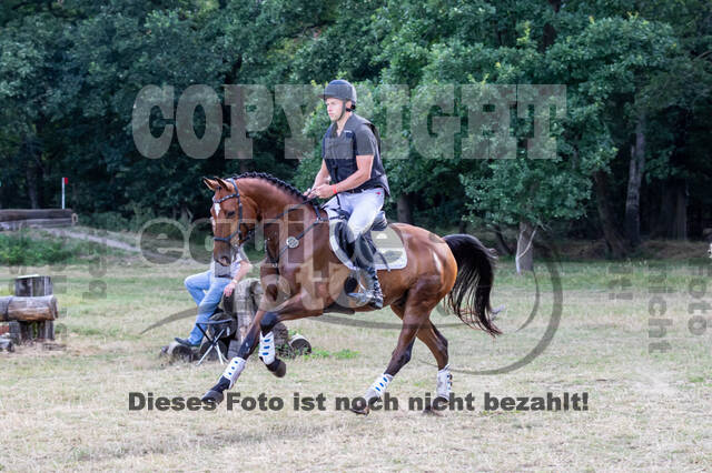 Late-Entry Vielseitigkeit Hamminkeln/Wesel (01.+02.08.2020)