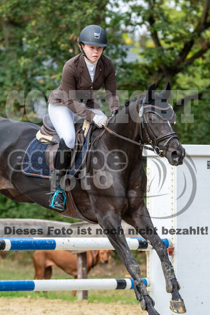 Vielseitigkeit RSV Wesel Obrighoven (26.+27.09.2020)