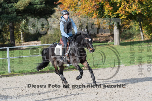 IGV Lehrgang der Sieger der Cups mit Frank Ostholt