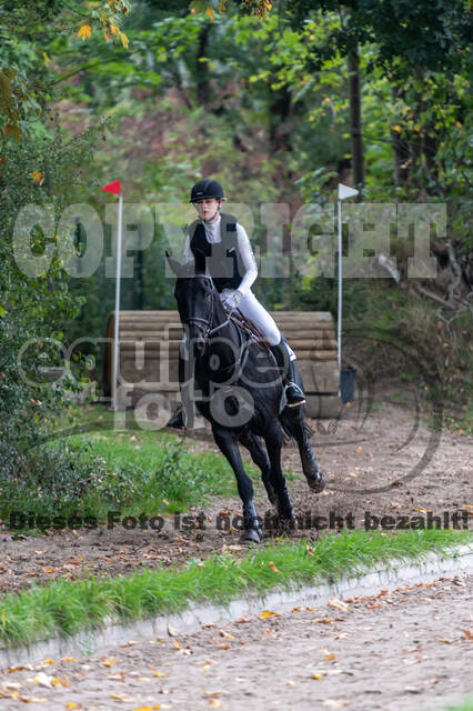 Goldene Schärpe 2020 - Pferde