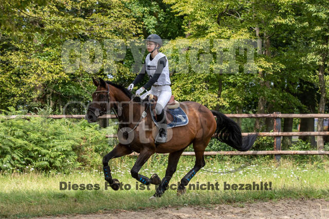 Late-Entry-Vielseitigkeit Gahlen (18.07.2020)