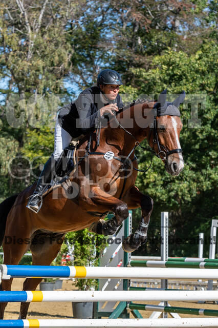 RFV Dinslaken-Hiesfeld (Herbstturnier)