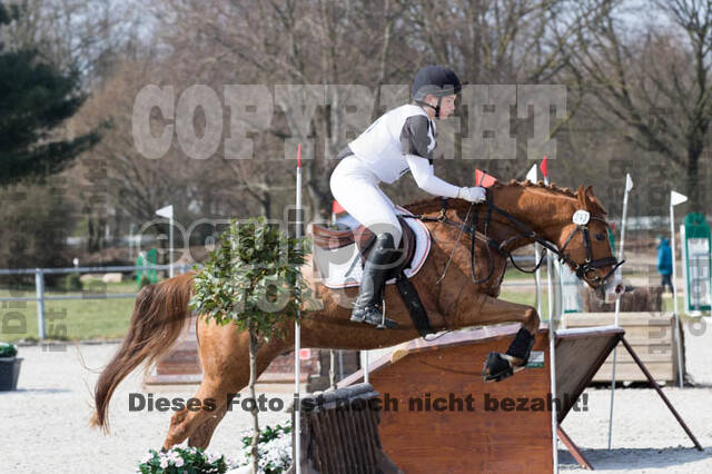 Eventing Langenfeld 2018