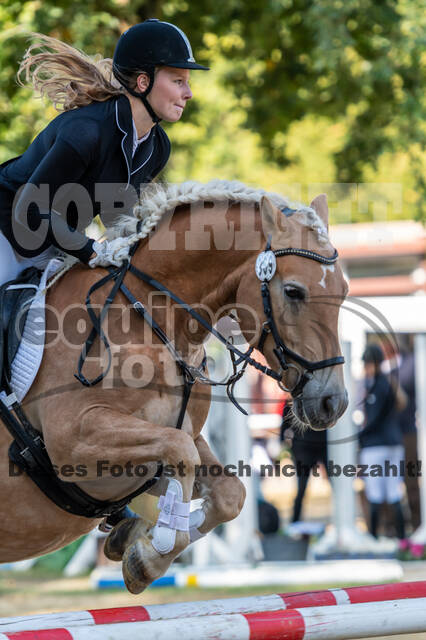 RFV Dinslaken-Hiesfeld (Herbstturnier)
