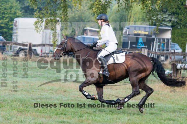 Vielseitigkeitsturnier RSV St. Hubertus Wesel Obrighoven