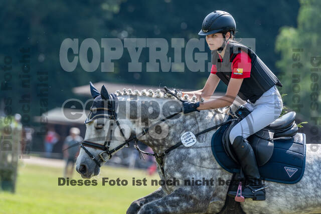 Goldene Schärpe 2021 - Ponys